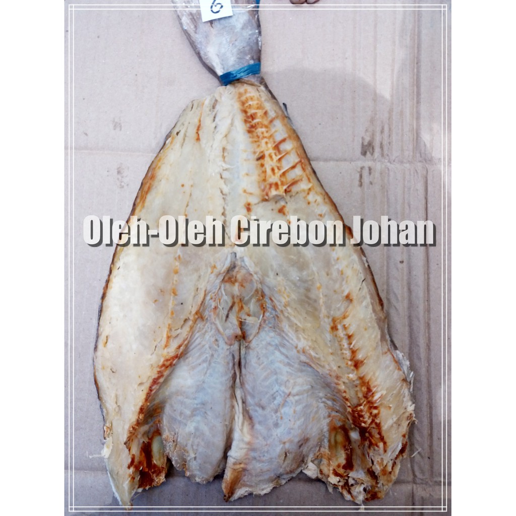 

Ikan Jambal Roti ukuran sedang