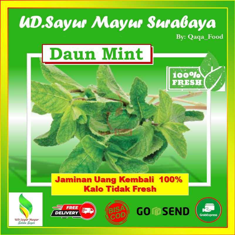 

Daun Mint segar fresh sayuran segar hijau 1 ikat - UD023