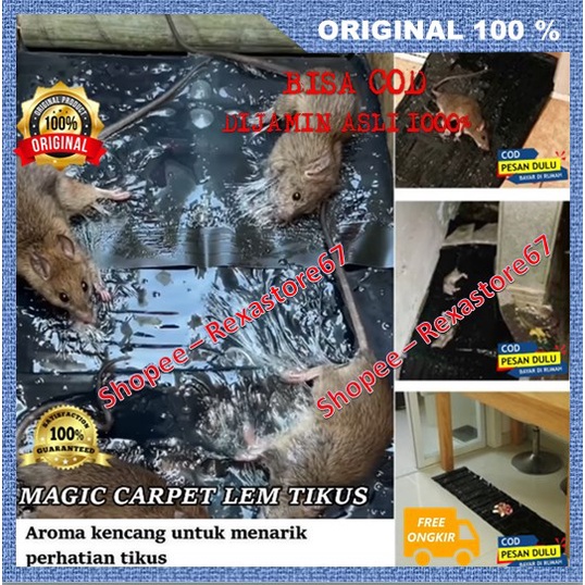 Lem Tikus Super Ampuh Magic Karpet  Lem Tikus ASLI