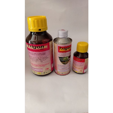 INSEKTISIDA RACUN OBAT TRIGON 25 EC