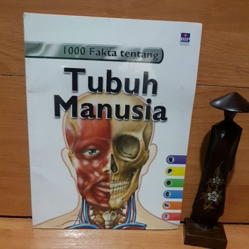 100 fakta tentang tubuh manusia