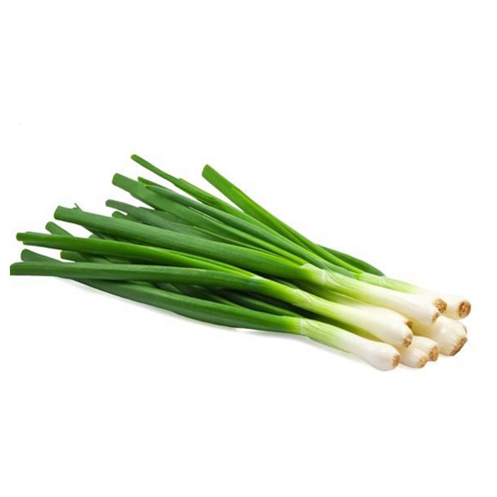 

DAUN BAWANG SEGAR FRESH / BUMBU / SAYURAN SEGAR - LEEK - SPRING ONION GARNISH MAKANAN 250GRAM