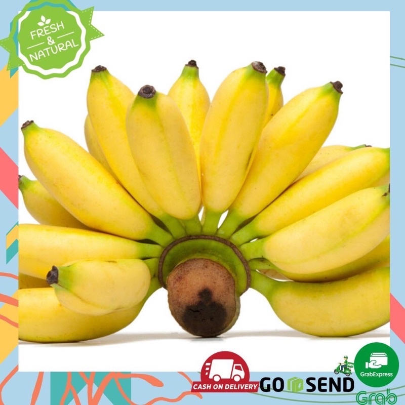 

Pisang mas Buah Segar Surabaya