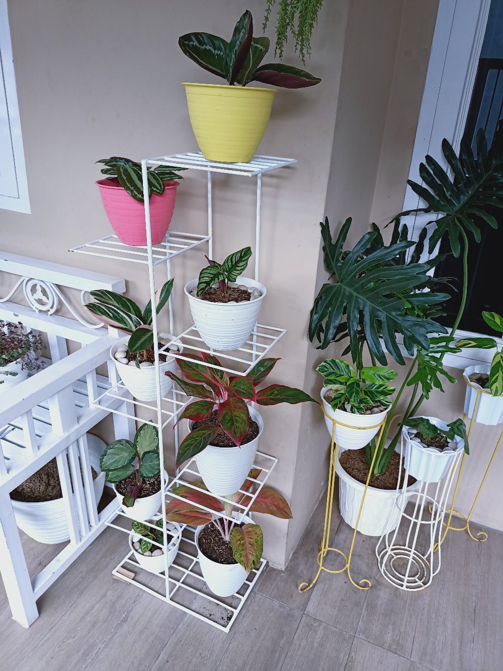 Rak Minimalis, Rak Tanaman Hias 7 Tingkat, Rak Pohon 7 Susun