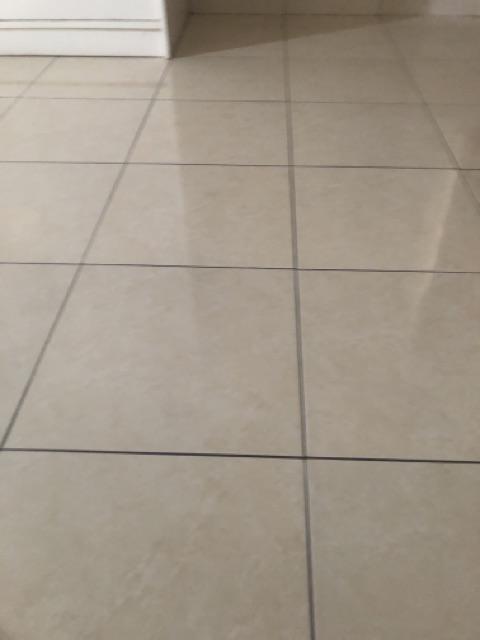 Paket Disinfektan Murah Meriah Pemutih Pakaian + Pembersih Lantai