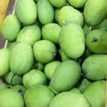 

mangga kweni super 1kg