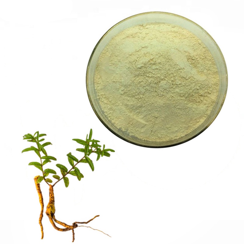 

SCUTELLARIA BAICALENSIS EXTRACT BUBUK 50GR