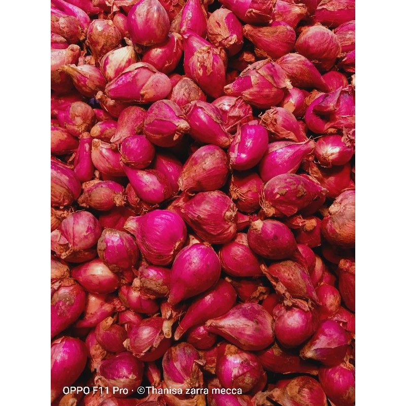 

bawang merah brebes 1 kg