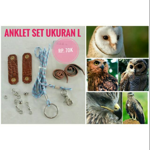 Anklet Set Untuk Bop Ukuran L Owl Dan Falconry Shopee Indonesia