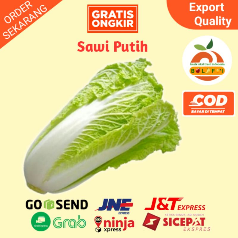 

SAYUR SAWI PUTIH 500GR