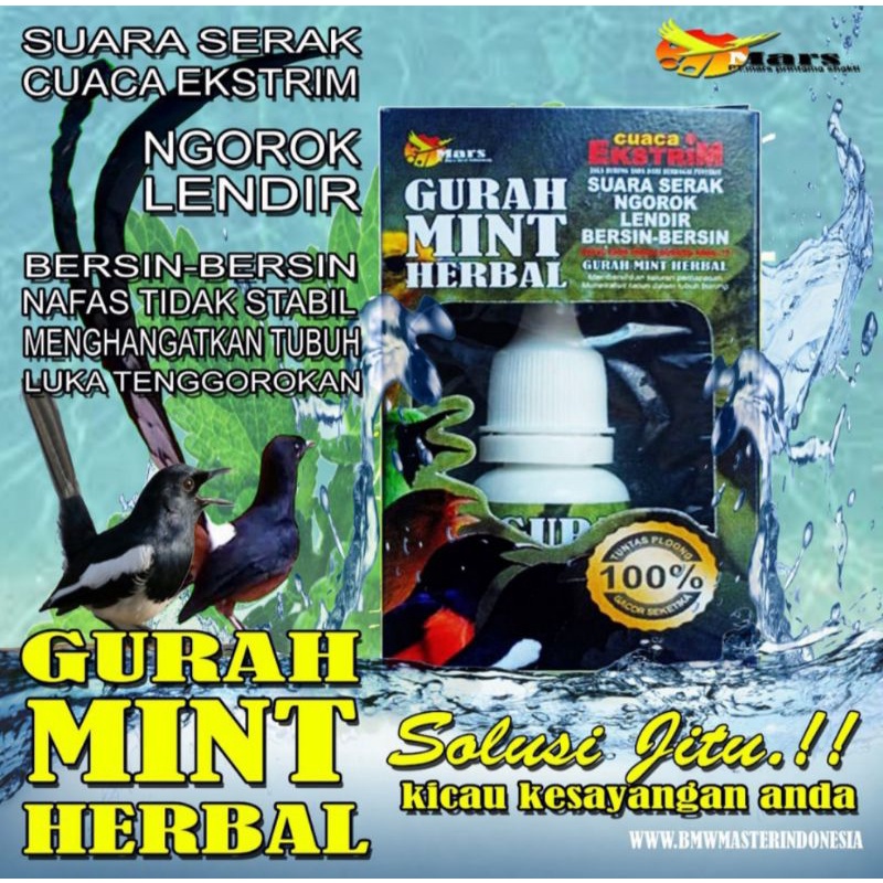 Gurah mint herbal obat gurah serak burung
