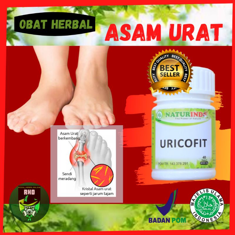 Jual Obat Herbal Asam Urat Nyeri Sendi Pegelinu Pembengkakan Persendian