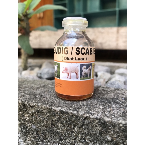 Obat Luar DOR Obat Gudik & Scabies Sapi kerbau Kambing Domba Kucing Dll