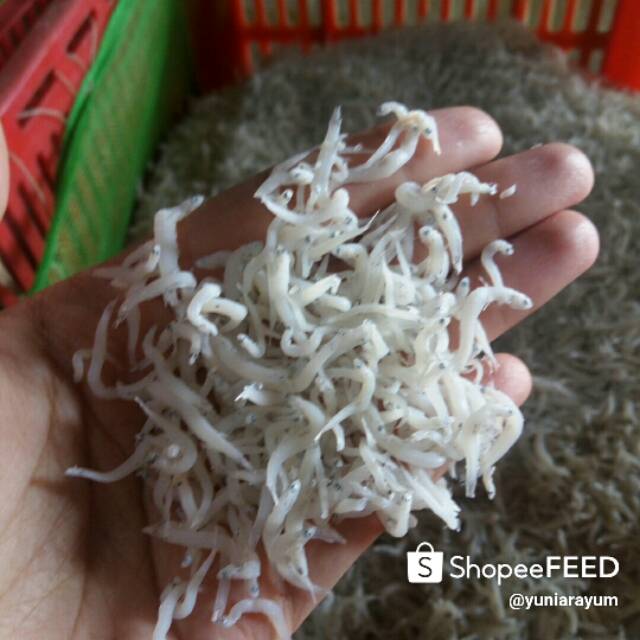 

Teri Nasi Kualitas Ekspor