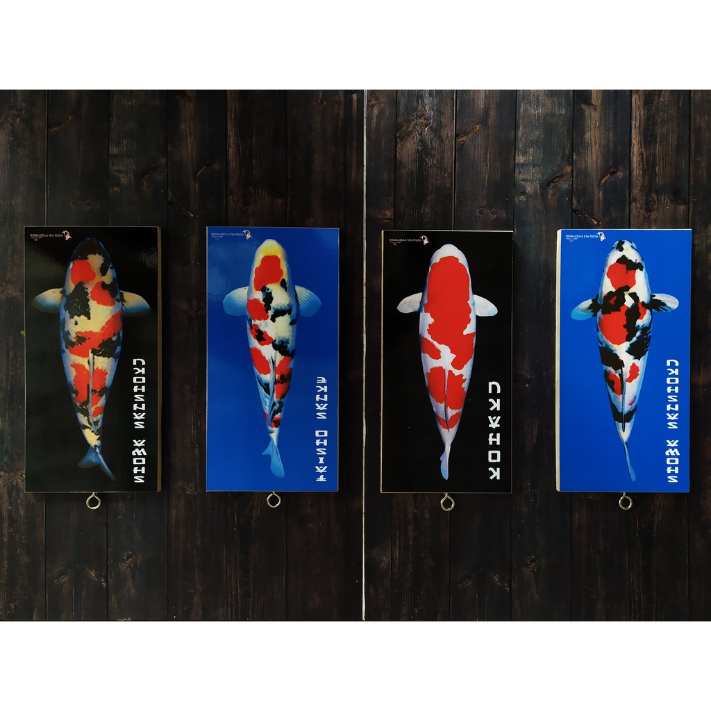 Dekorasi Dinding Ikan Koi 10cm x 20cm