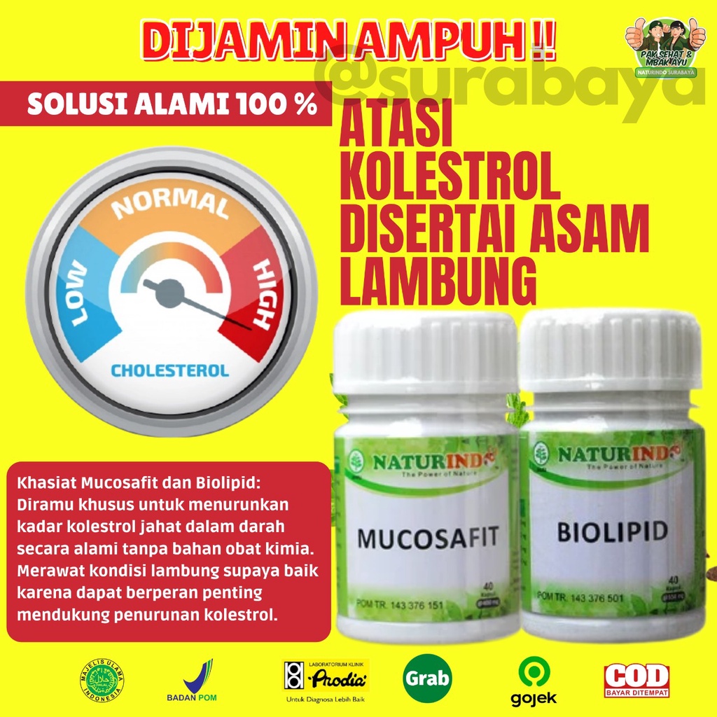 Obat Sakit Asam Lambung Maag Begah Sendawa Obat Herbal Sakit Maag Obat Asam Lambung Maag Kronis Obat Lambung Ampuh BPOM MUI Herbal MUCOSAFIT Naturindo Surabaya Obat asam lambung GERD naik maag gerd kronis tungkak lambung sakit perut mual muntah Herbal-LAMBUNG+KOLESTROL