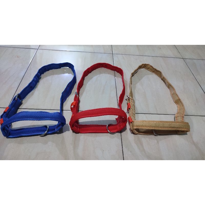 Head halter/Brangus sapi grosir dan ecer