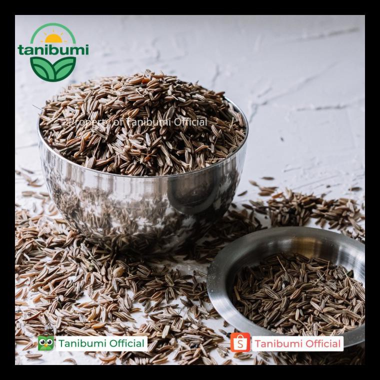 

Terbaru Termurah Caraway Seed | 1Kg | Jintan Masak | Biji Jinten Premium