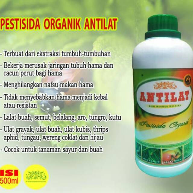 ANTILAT Pestisida Organik Mengatasi Hama Tanaman Lalat Buah, Semut, Belalang, Aro/Penggorok Daun dll - Obat Pembasmi Hama Belalang - Obat Anti Hama Belalang - Racun Hama Belalang - Obat Semprot Hama Belalang PALING AMPUH TERLARIS