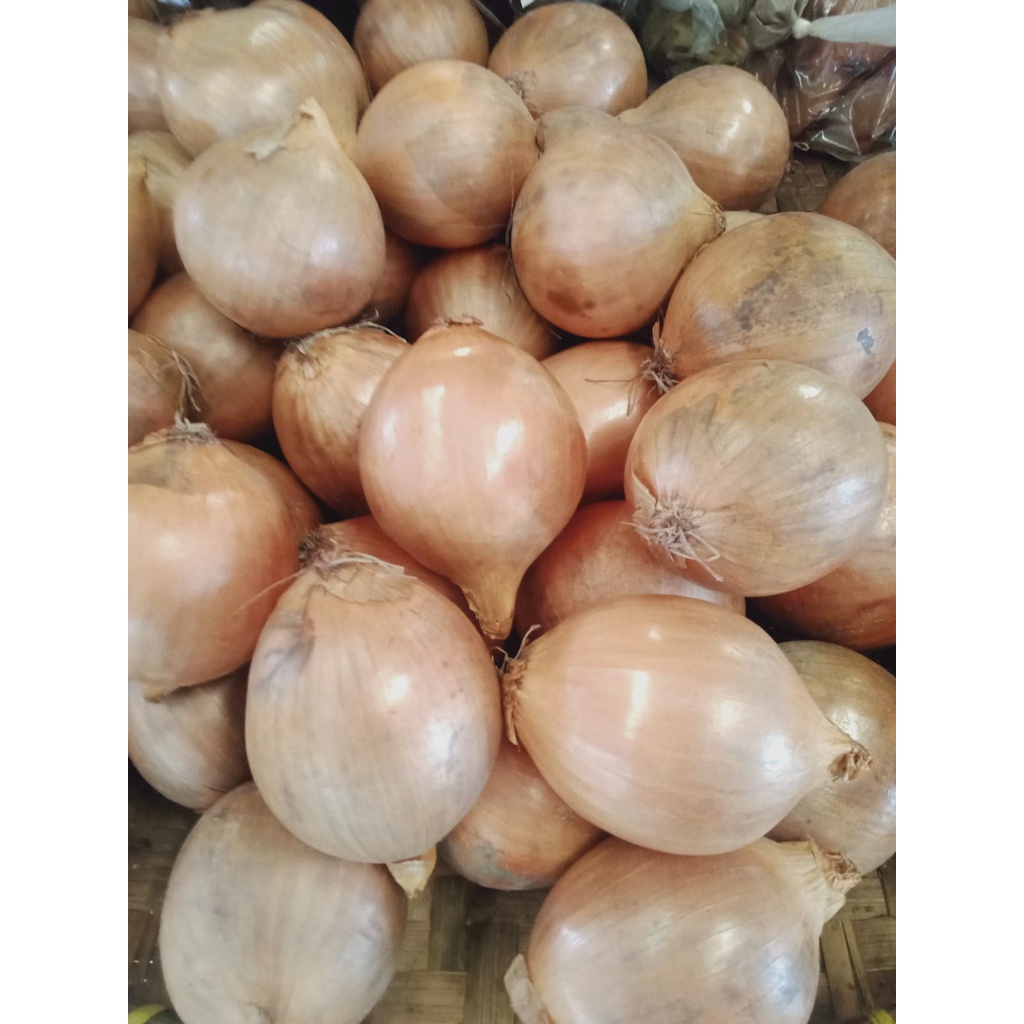 

BAWANG BOMBAY / Sayur Segar