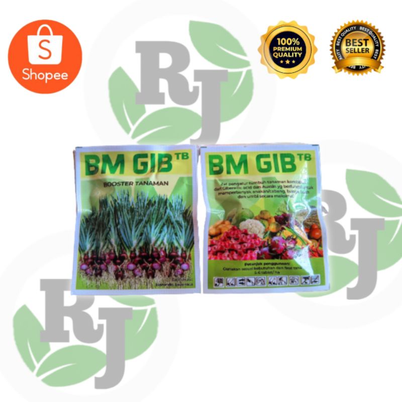 BM GIB ( BOOSTER TANAMAN ) PEMBESAR POPOR PADA BAWANG MERAH
