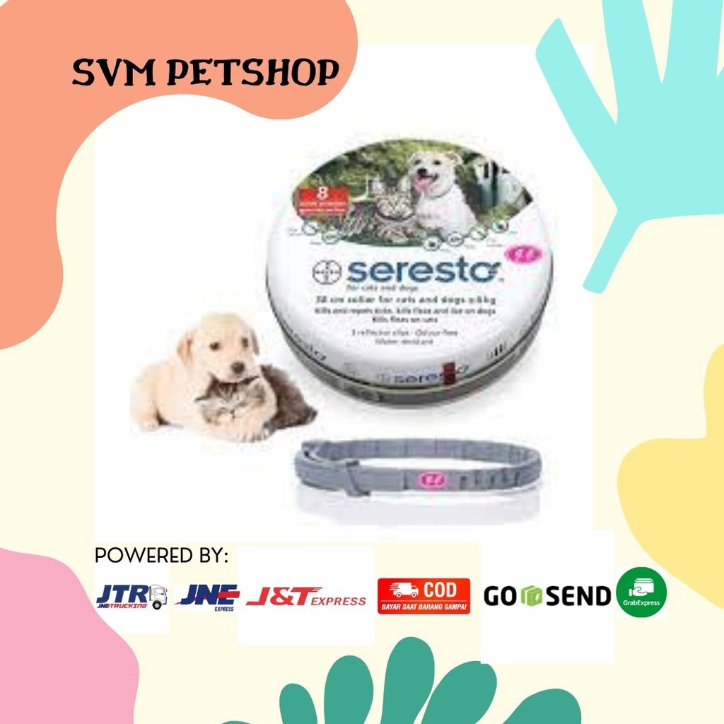 SERESTO - KALUNG ANTI KUTU PROTEKSI 8 BULAN ANJING KUCING SERESTO CAT & DOG