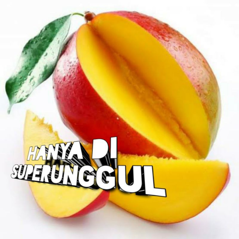 Bibit Mangga jenis Donggincu