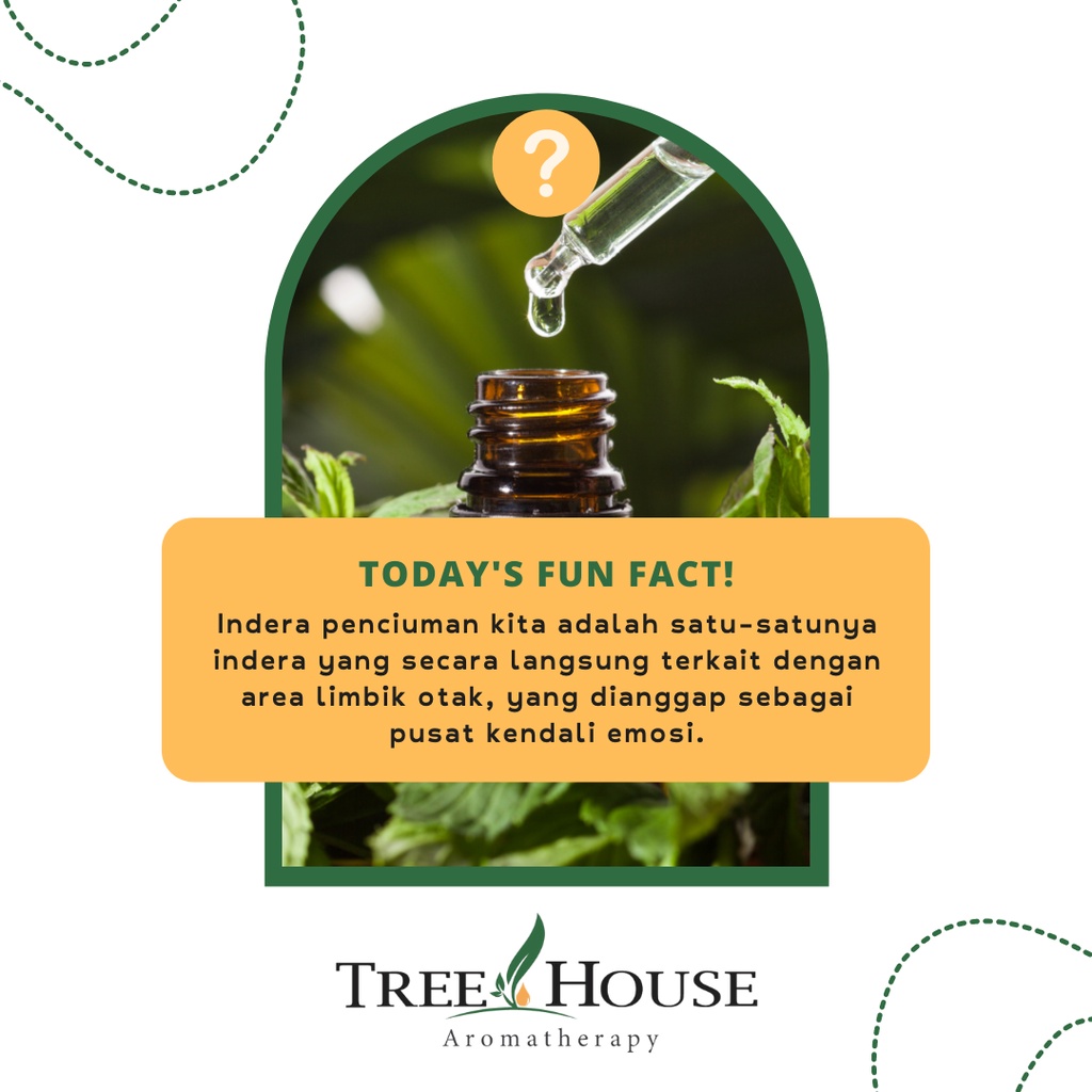 Tree House Essential Oil &amp; Essential Oil Blends 15ML - Aromatherapy - Aromaterapi - untuk Oil Diffuser / Humidifier | Esential Oil - Minyak Atsiri - Esensial Oil - Treehouse - Oil Diffuser - Aromatheraphy - Cough &amp; Flu - Cough and Flu - C&amp;F - CnF