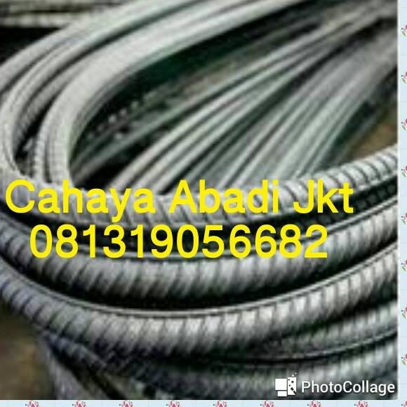 ➥ BESI ULIR 10MM SNI 12MTR ➷