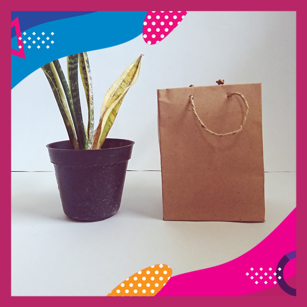 

Paper bag polos TPL 17x15x7 Eco