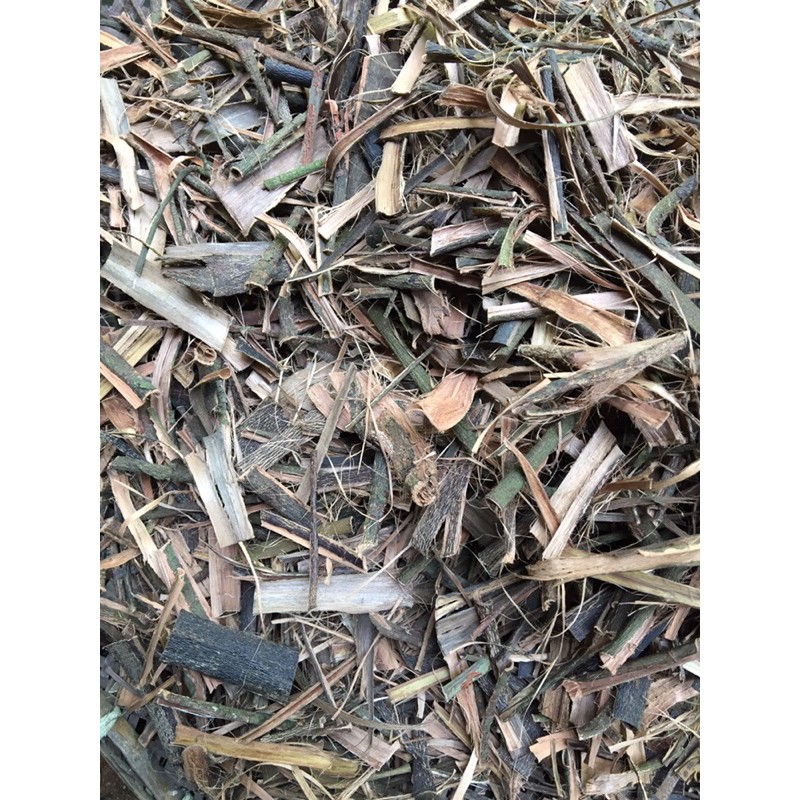 

kulit batang pohon kersen kering 1kg