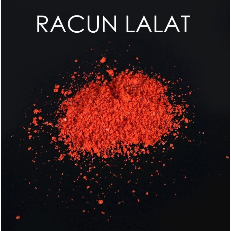 Racun Lalat Ampuh Obat Pembasmi Lalat Umpan Lalat