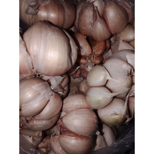 

bawang putih sinco 1/2kg termurah