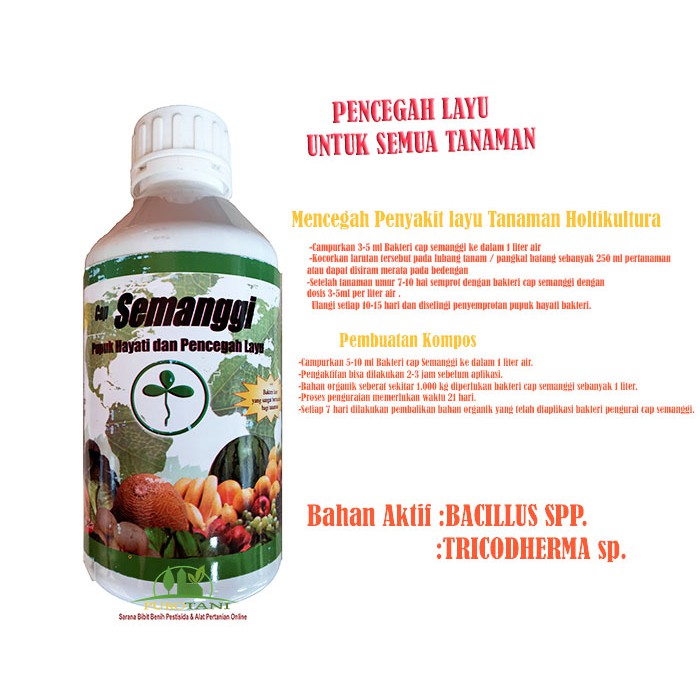 Semanggi Pencegah Layu Trichoderma Sp Cair Plus Bacillus Sp Pupuk Hayati Organik