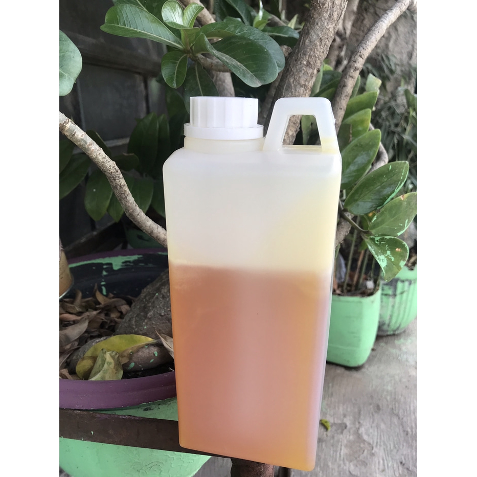 

Madu melifera tiris 1 kg