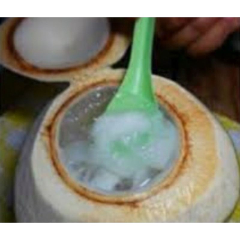 

kelapa jelly