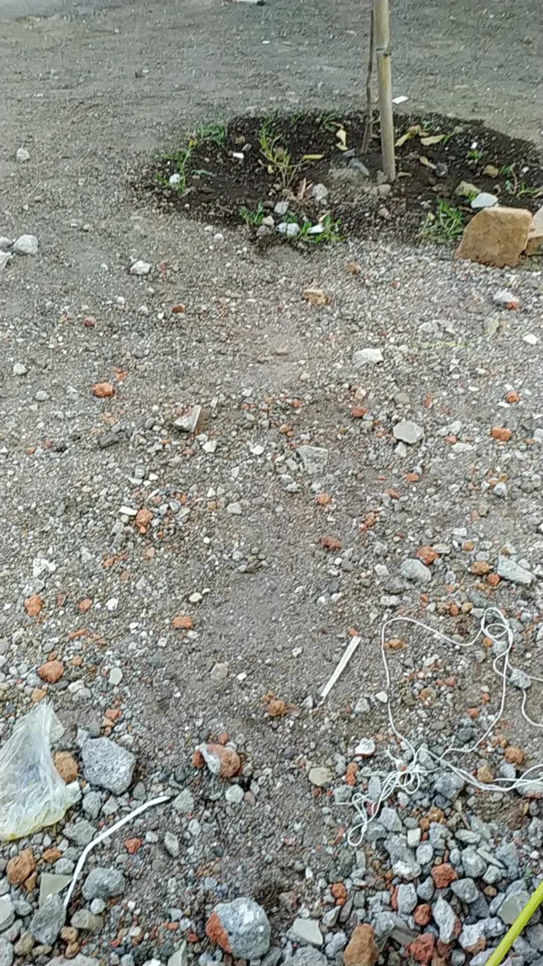 Kemeja Batik Lengan Panjang Ada Size Jumbo Naga Sogan By Florist