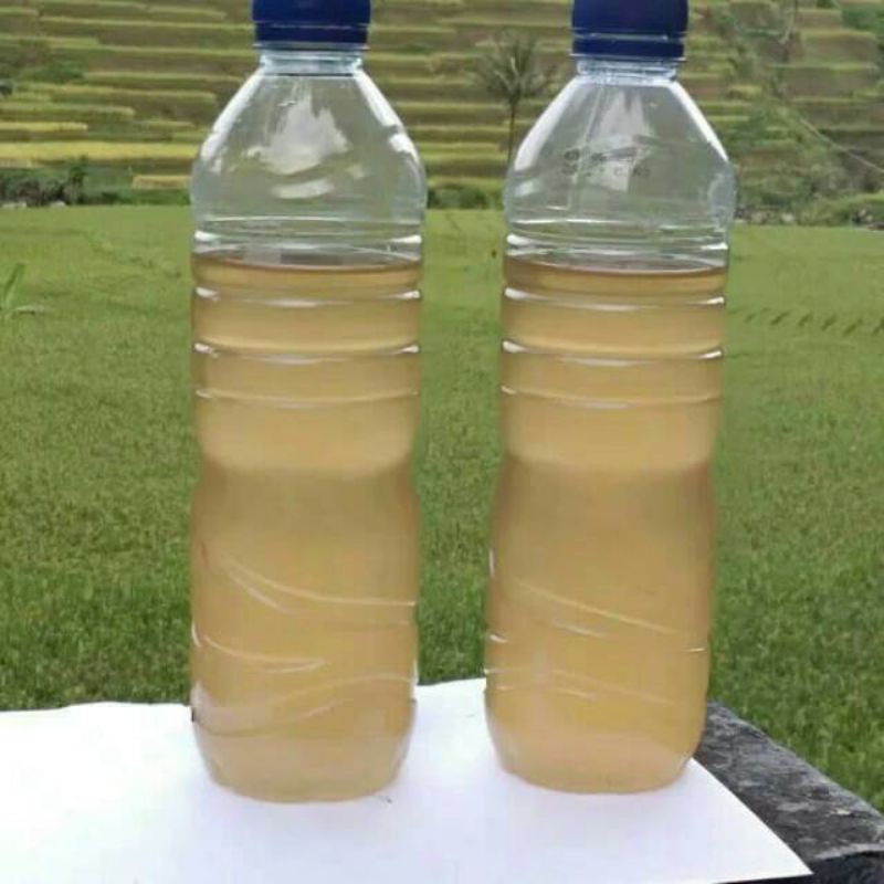 

jual air nira aren/lahang 1 botol