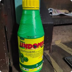 Herbisida Lindomin 1L