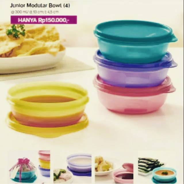 Junior modular bowl