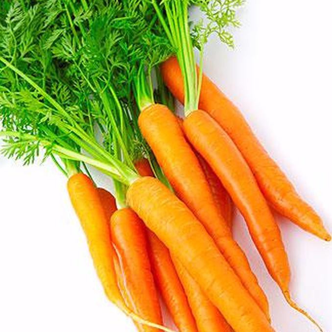 

UNIK Bibit Biji Benih Sayur Wortel Unggul 50 butir 2 SEPTEMBER