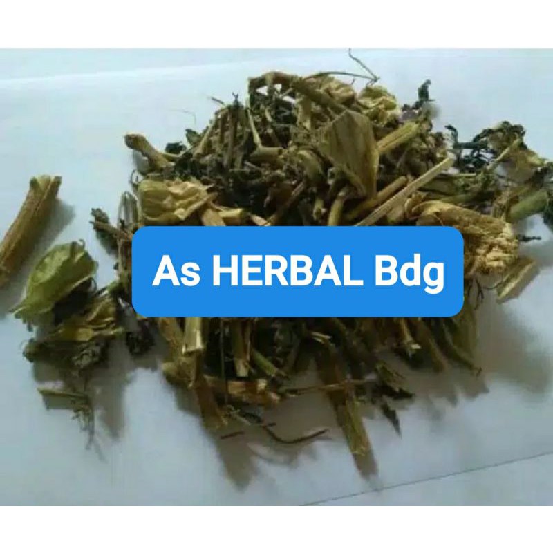 

Daun Ciplukan atau Cecenet Kering 500 gram-az
