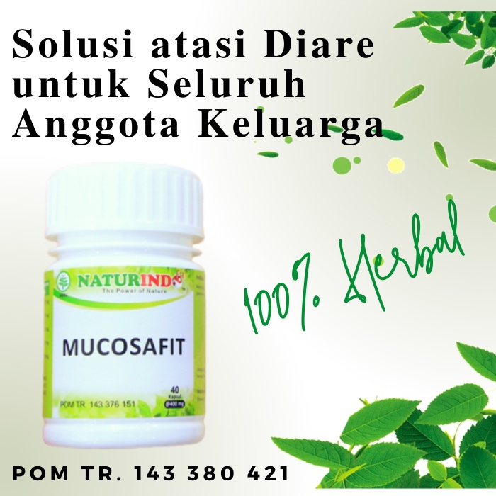 Jual Naturindo Obat Lambung Asam Lambung Maag Mah Kronis Nyeri