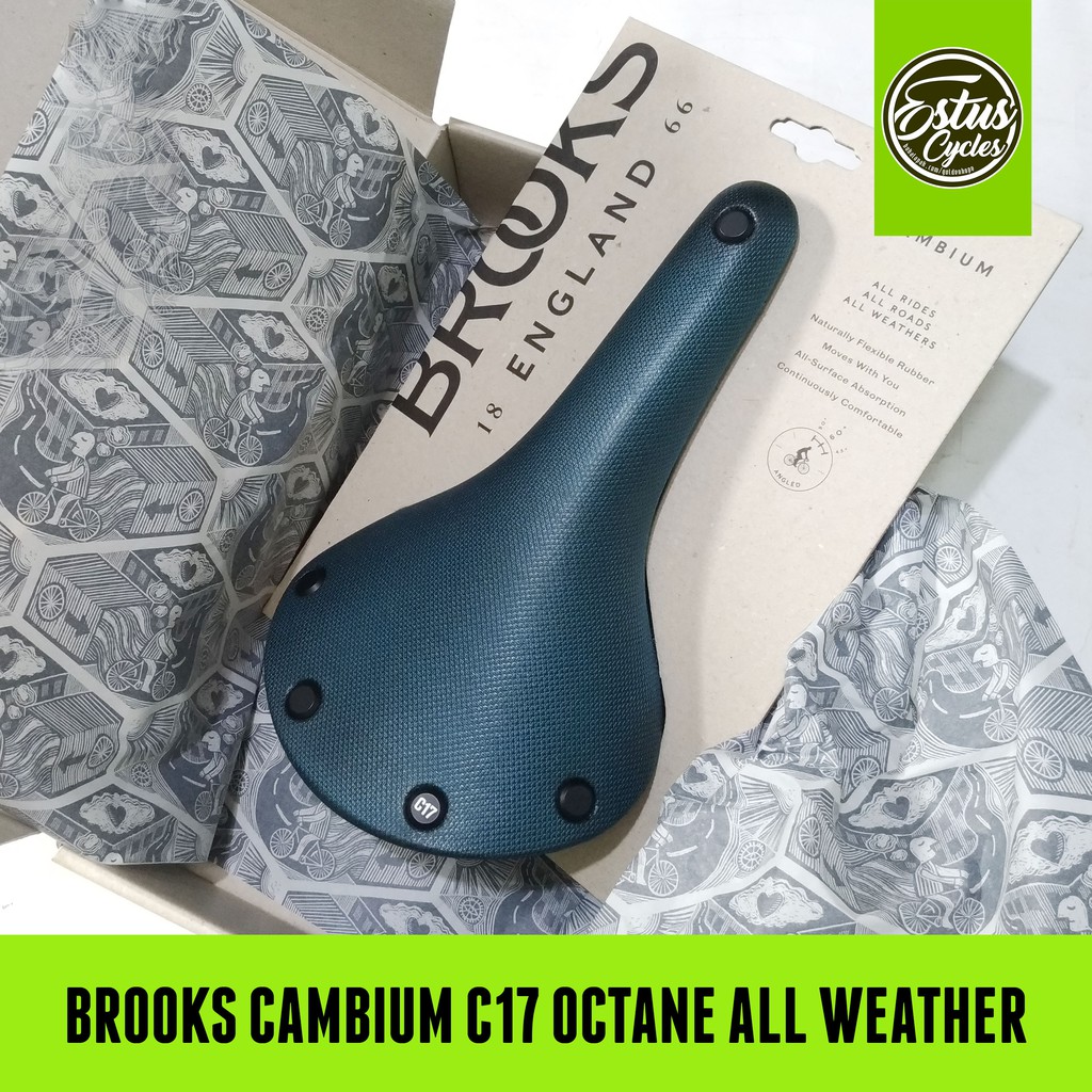 sadel brooks cambium