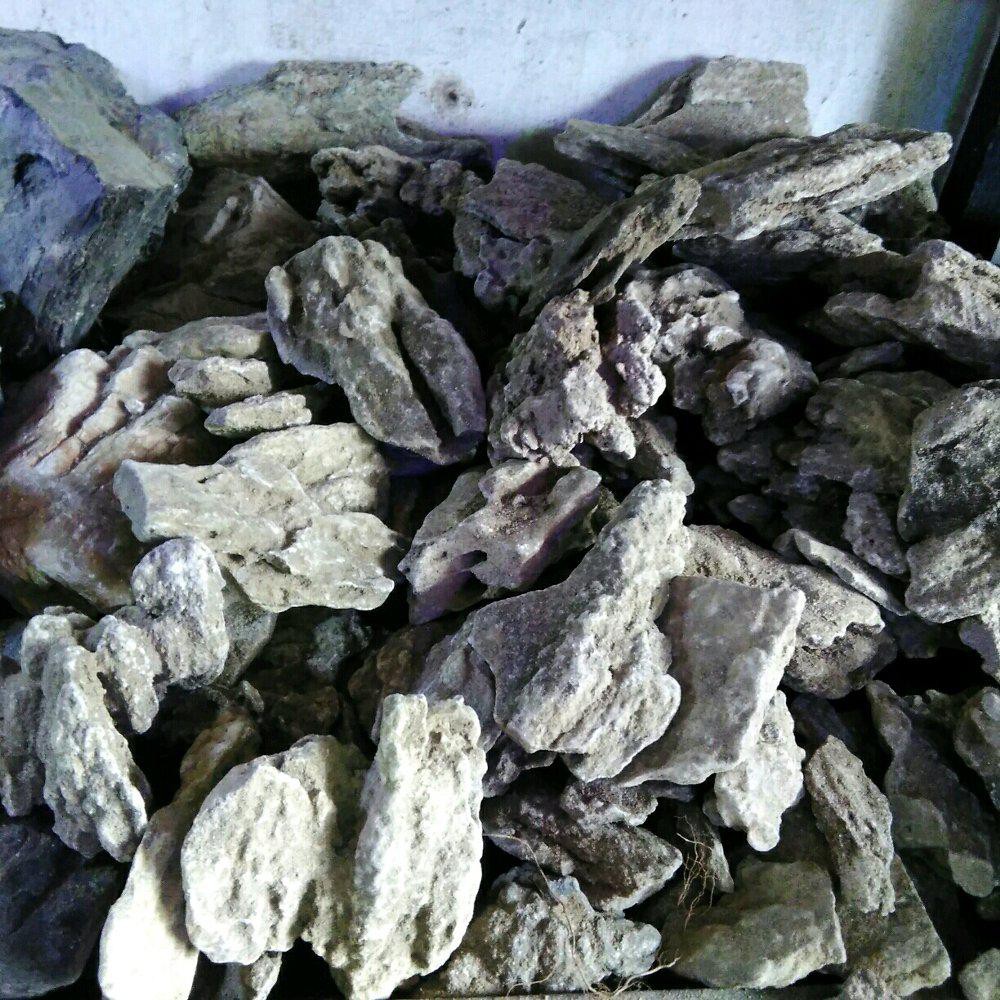 Big Sale Batu Fosil Pasir Untuk Aquascape  Dan Hardscape Hebat