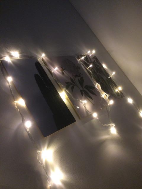 Media Hiasan Dinding Poster Kayu Leaf Dekorasi Rumah 15x30 Lf 30