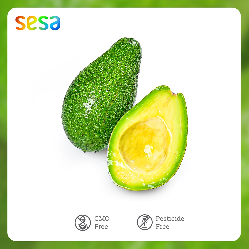 

Buah Alpukat Mentega 0.95 - 1.1 Kg