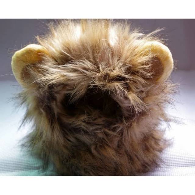 Wig Kucing &amp; Anjing Topi Singa - Baju Rambut Lion - Aksesoris Hewan