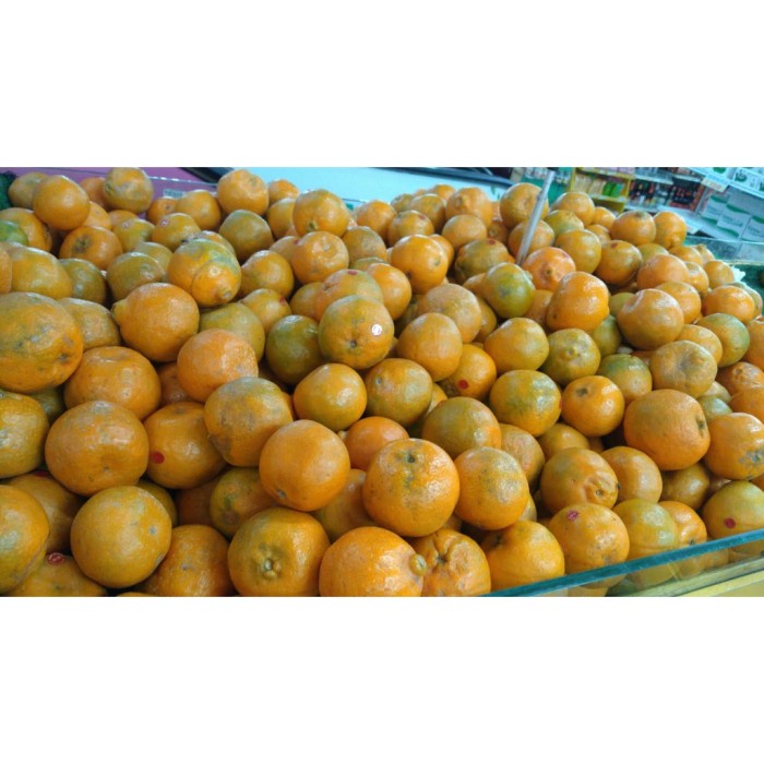 

Buah Jeruk Medan Premium (900g-1kg/4-6pcs)