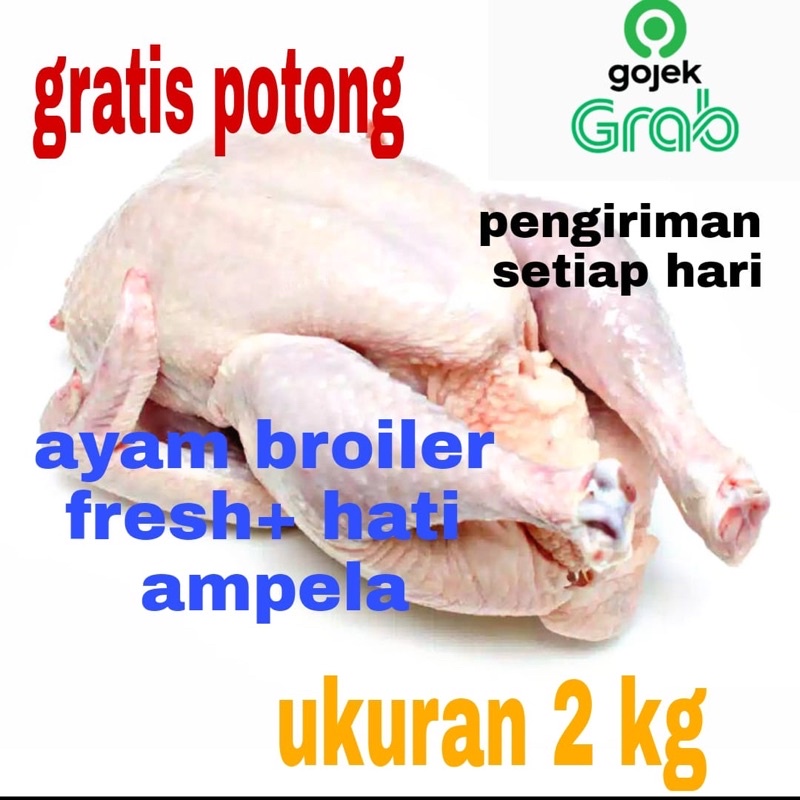 

ayam potong/ayam segar/ayam broiler